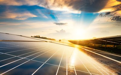 4 Ways to Integrate Circular Economy Principles into Your Solar Energy Project